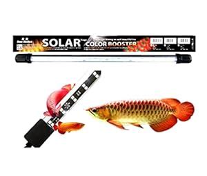 VAYINATO Neo Helios Solar Colour Booster Submersible LED Light for ...