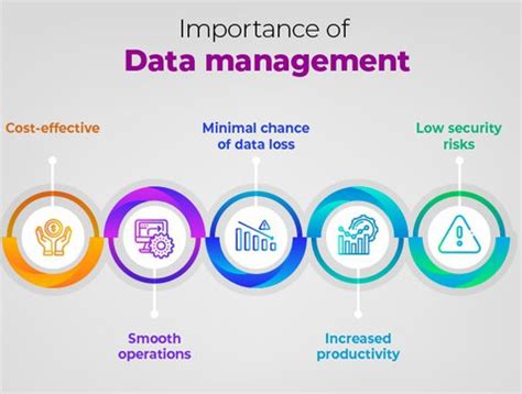Image result for Understanding Data Management