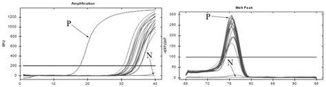 In-Situ Investigation of Copepod Predators of Ichthyophthirius ...