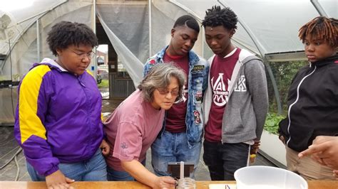 Local Farms 的图像结果