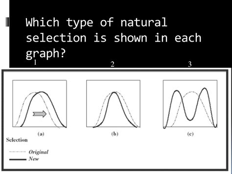 PPT - Topic 5: Evolution PowerPoint Presentation, free download - ID:594864