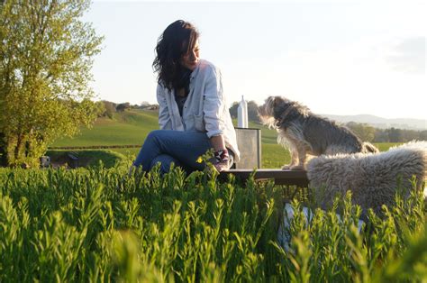 ABOUT — The Woody fox