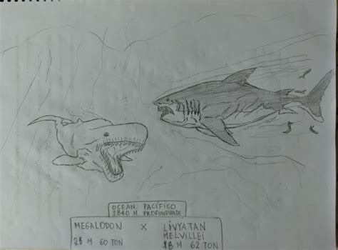 Megalodon vs Livyatan Melvillei by pedropaulojansen on Newgrounds