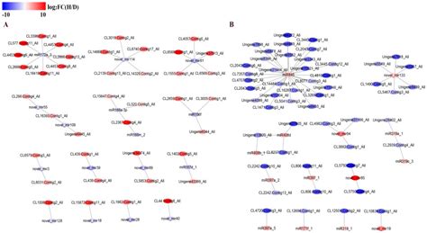 Metabolome and Transcriptome Analysis of Hexaploid Solidago canadensis ...
