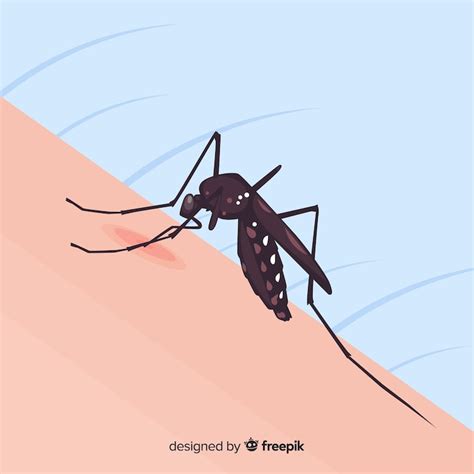 Mosquito culex Imagens – Download Grátis no Freepik