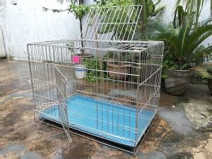 Birds' Park Dog Steel Cage for Labrador Grey Parrot & Cockatoo Dog ...