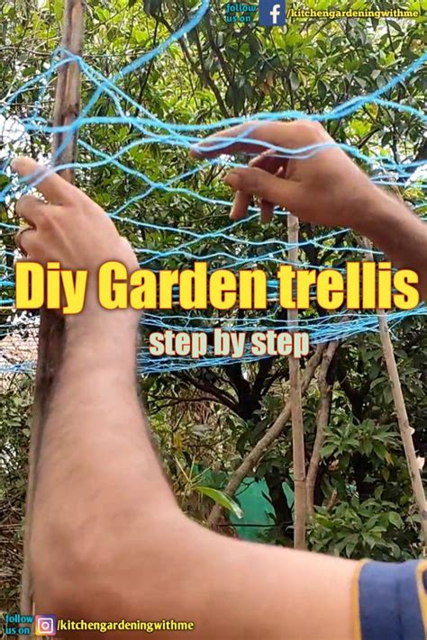Image result for How to Build a Trellis