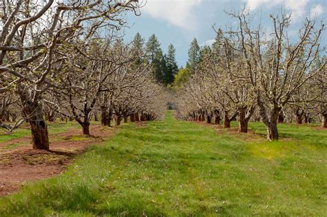 Bus Reservations at Apple Hill - High Hill Ranch