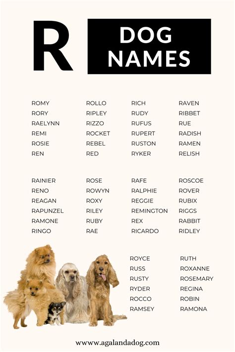 List of Over 100 Boy and Girl R Dog Names | Dog names, Cute names for ...