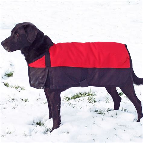Dura-Tech® Waterproof Dog Jacket - XL