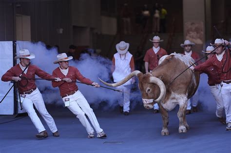 Is Bevo, the Texas Longhorns mascot, coming to Ohio Stadium? | NBC4 WCMH-TV
