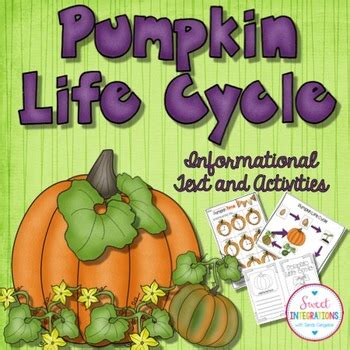 Pumpkin Life Cycle - Science, Literacy, Math, and Slideshow - October ...