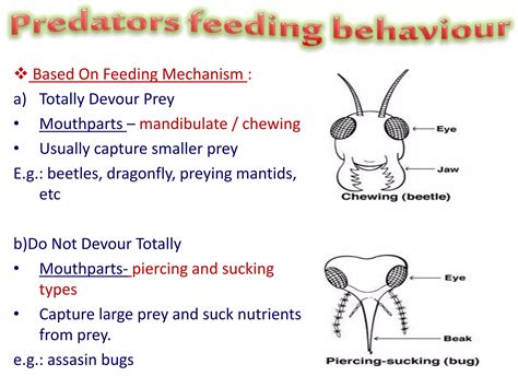Parasitoids and Predators, their attributes. | PPTX