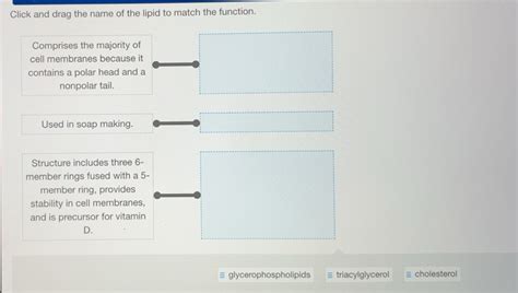 Solved: Click and drag the name of the lipid to match the function ...