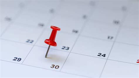 Monthly vs. Quarterly Pest Control — Contact Us Today