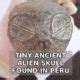 Image result for Alien Skull Found