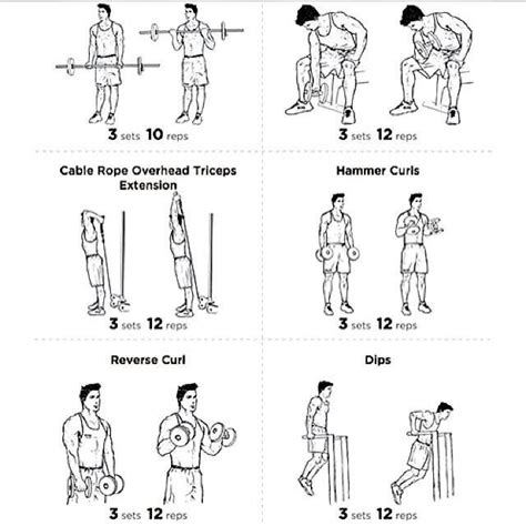 Image result for Exercise for Chest Muscles
