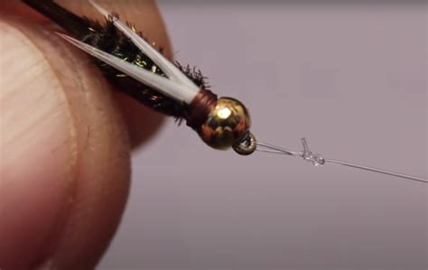 Image result for Loop to Loop Knot On Fly Line