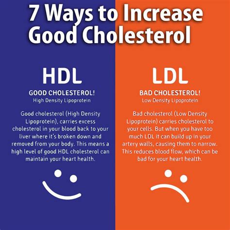 Cholesterol Hdl Levels Chart at Nicholas Petterson blog