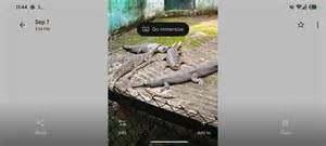 Google Messaggi attende Nano Banana; nuova scheda in arrivo su Google Foto