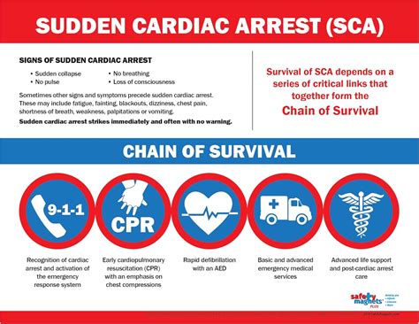 Buy Sudden Cardiac ArrestChain of Survival Poster - Survival Chain ...