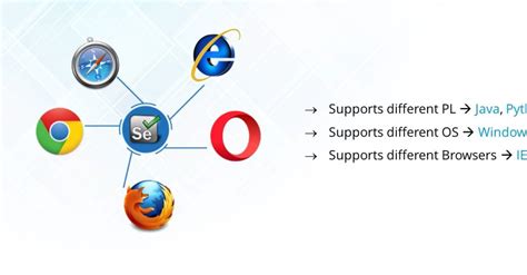 Selenium Download Naveen Automation Lab 的图像结果
