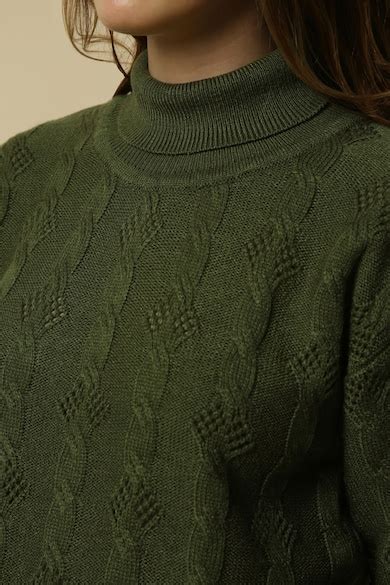 Buy Women Green Textured Turtle Neck Casual Sweater Online - 39828106 ...