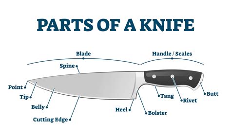 Description Of A Chef's Knife at Edwin Davis blog