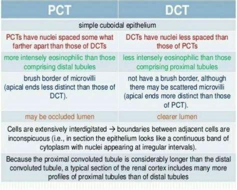 Differentiate between pct and dct - Brainly.in