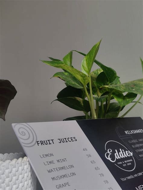 Menu at Eddies food & beverage, Chennai