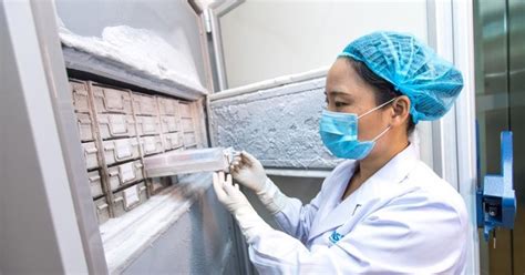 A Private US Law Firm Has Sued The Chinese Government Over The ...