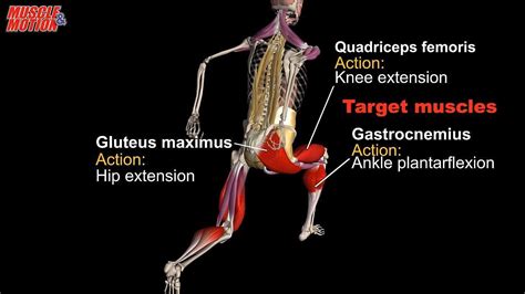 Image result for Split Jumps Exercise