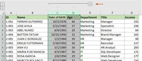 Image result for Excel Conditional Hide Columns