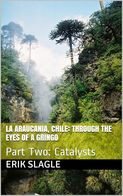 La Araucania, Chile: Part Two: Catalysts eBook : SLAGLE, ERIK: Amazon ...