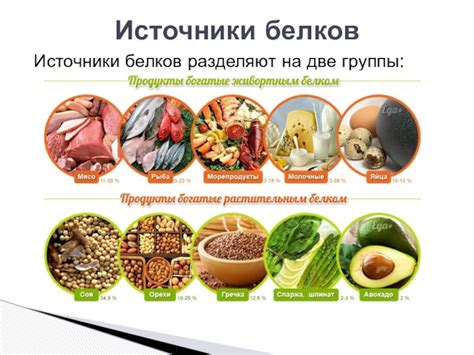 Лучшие источники белка: 12 лучших источников полезного белка