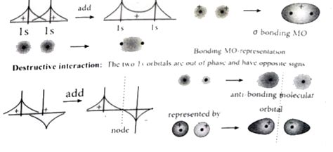 What do you understand by interphase