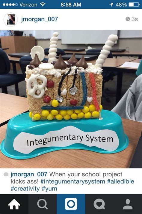 Skin Model 8th Class Science Project 的图像结果