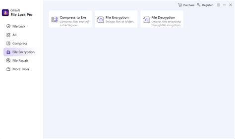 Image result for File Lock for PC