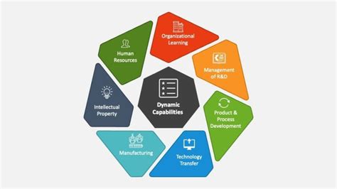 Image result for Dynamic Capability Model