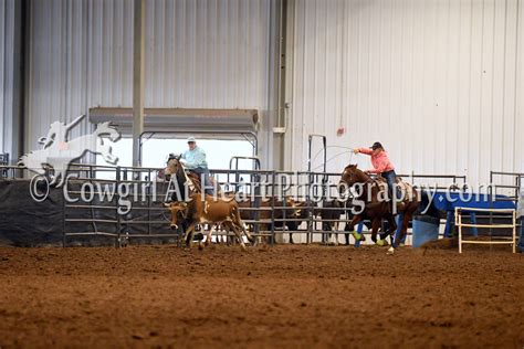 Image result for Girls Team Roping