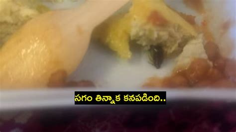 ఆహారంలో బొద్దింక.. ఫుడ్‌ పాయిజనింగ్‌.. వీడియో పోస్ట్ చేసిన కస్టమర్ ...