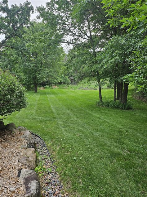 Green Screen Printing 的图像结果