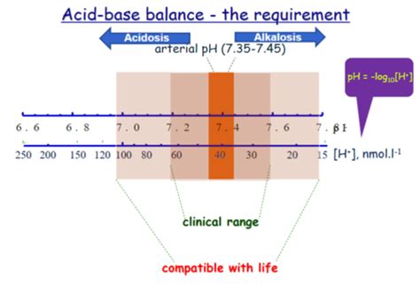 Image result for Acid-Base Balance Practice Problems