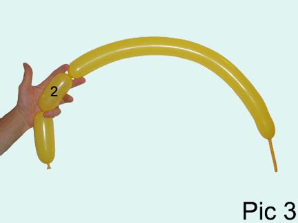 Image result for Balloon Bird Tutorial