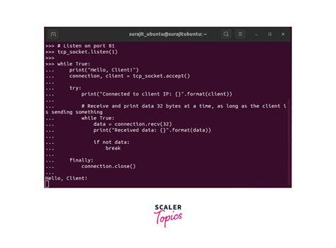 Python Sockets and Client Server 的图像结果