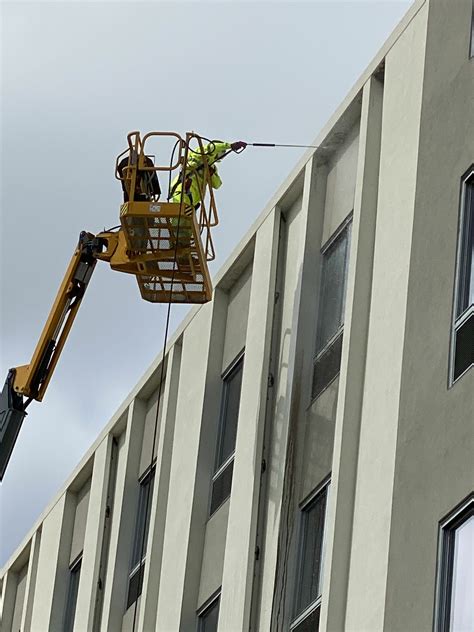 Image result for Bird Poop Removal