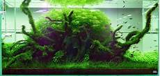 ada aquascape basic forms aqua rebell ada aquascape basic forms aqua rebell