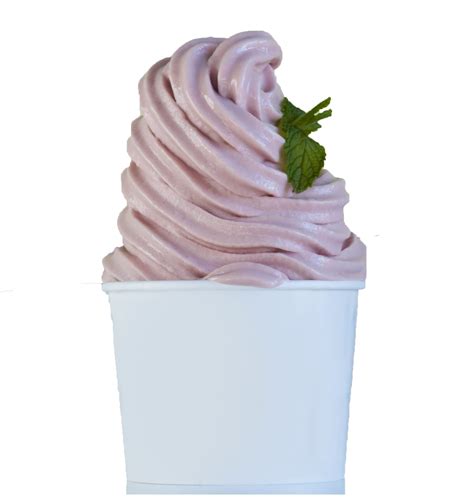All Frozen Yogurt Flavors at Declan Goodisson blog