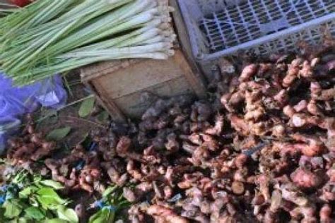 harga rempah rempah