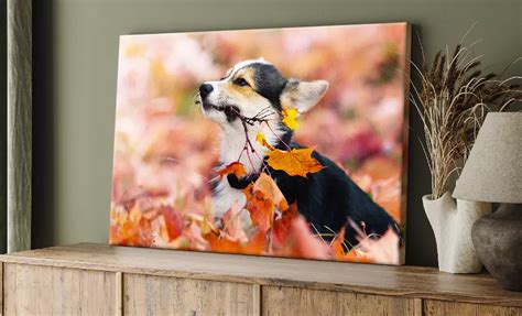 Shop Deals & Discounts on Custom Photo Prints | Groupon